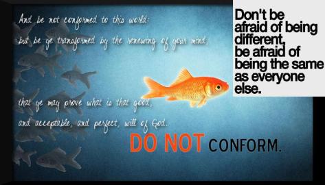 do-not-conform-fish
